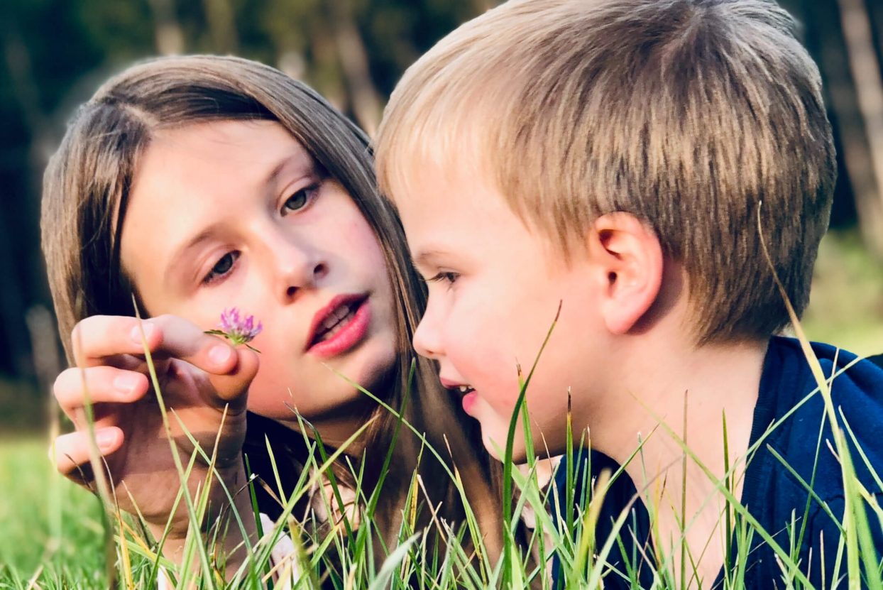 zwei Kinder an einer Blume riechend in der Wiese